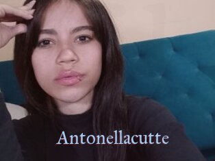 Antonellacutte