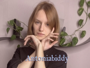 Antoniabiddy