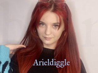 Arieldiggle