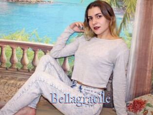 Bellagracile