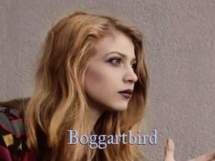 Boggartbird