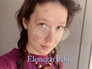 Elenegarfield