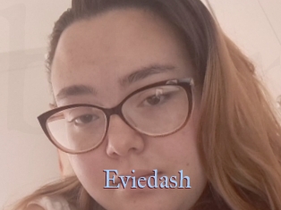 Eviedash
