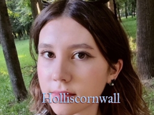 Holliscornwall