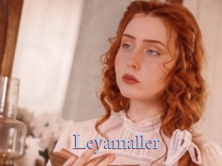 Leyamaller