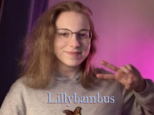 Lillybambus