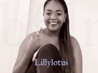 Lillylotus