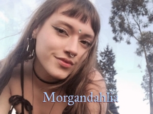 Morgandahlia