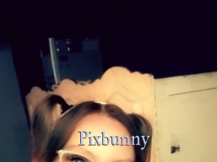 Pixbunny