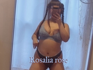 Rosalia_rose