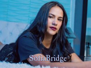SofiaBridge