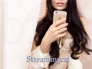 Streamingcat