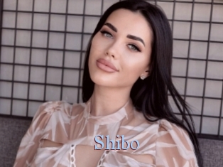 Shibo
