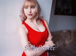 Sollyflower