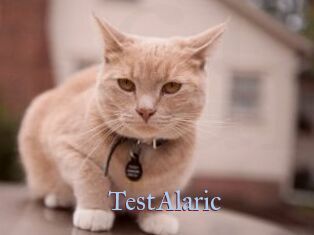 TestAlaric