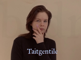 Taitgentile