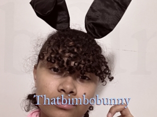 Thatbimbobunny