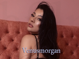 Venusmorgan