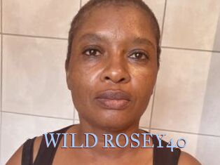 WILD_ROSEY40